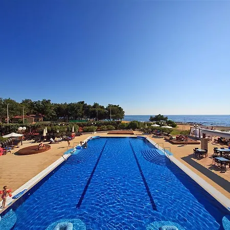 Amfora Plava Laguna Umag