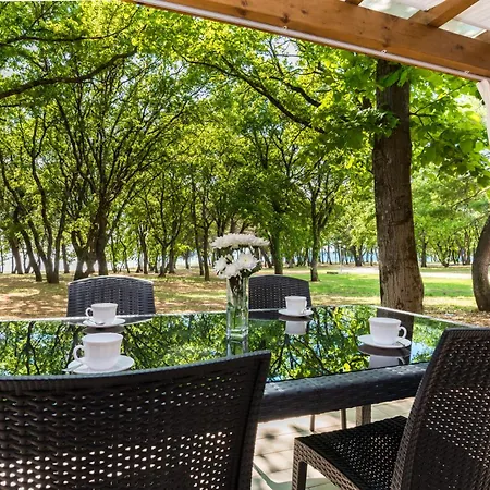 Amfora Plava Laguna Apartment