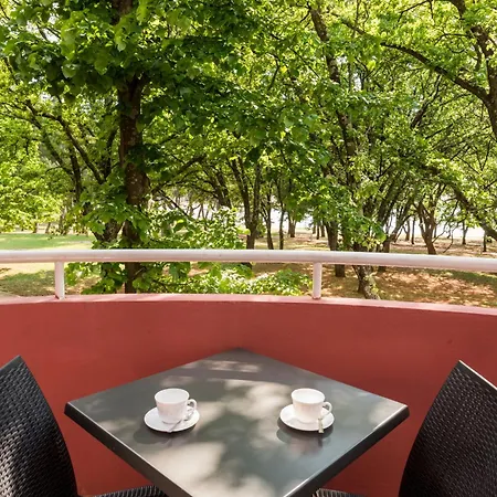 Amfora Plava Laguna Apartment *