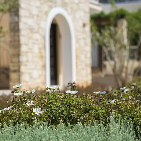 Amfora Plava Laguna * ウマグ